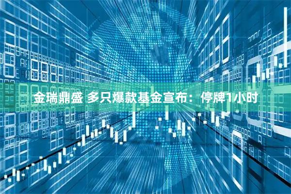 金瑞鼎盛 多只爆款基金宣布：停牌1小时